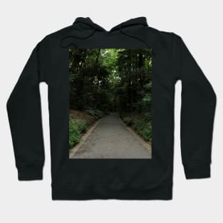 The path Hoodie